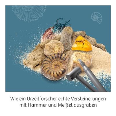 Kosmos fossielen uithakken