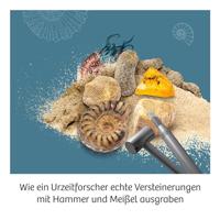 Kosmos fossielen uithakken - thumbnail