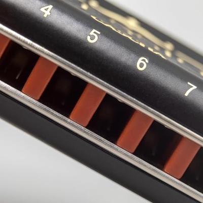 Cascha HH 2025 Professional Blues Harmonica in C - thumbnail