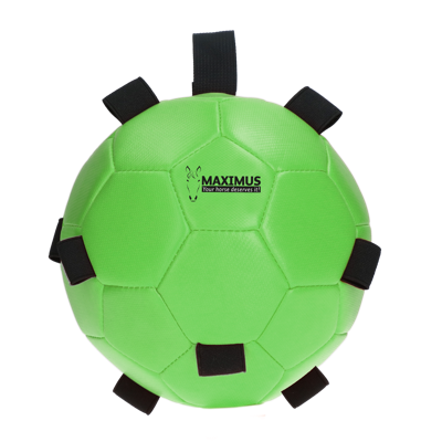 Maximus Fun Play Ball Green