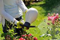 Hozelock 4200 0000 PURE 2L Drukspuit 2 l - thumbnail