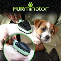 FURminator - dubbelzijdige borstel voor puppy's en kittens - thumbnail