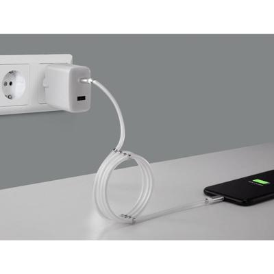 Renkforce TO-6886782 USB-kabel USB 2.0 USB-C stekker, Apple Lightning stekker 2.00 m Wit