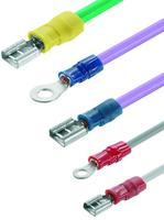 Weidmüller CTI 6 G 9202850000 Krimptang Geïsoleerde connectoren 0.5 tot 6 mm² - thumbnail