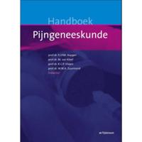 Handboek pijngeneeskunde (Hardback) - thumbnail