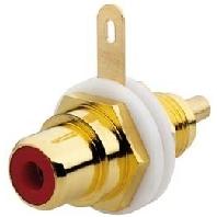 Rutenbeck 17000304 Adapter Bus, recht 1 stuk(s) - thumbnail