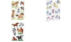 Etiket herma getekende paarden 18 st