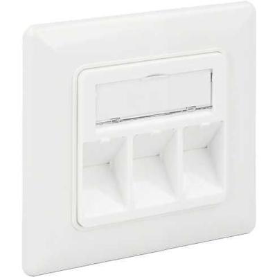 DeLOCK Keystone Wall Outlet 3 Port compact doos DeLOCK Keystone Wall Outlet 3 Port compact doos