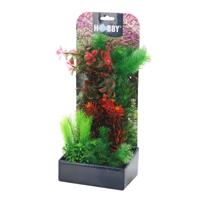Plantasy set 3 decoratie planten Hobby Smulders - Smulders - thumbnail
