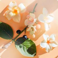 Elie Saab Girl Of Now Lovely Eau De Parfum Spray 50 ml Dames - thumbnail