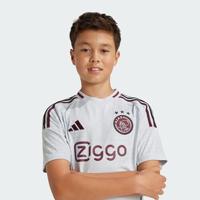 Ajax Shirt 3rd Junior 2024/2025 - Maat 128 - Kleur: RoodGrijs | Soccerfanshop - thumbnail