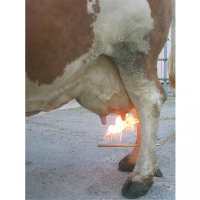 Preventa Uieronthaarder voor grote gasbus