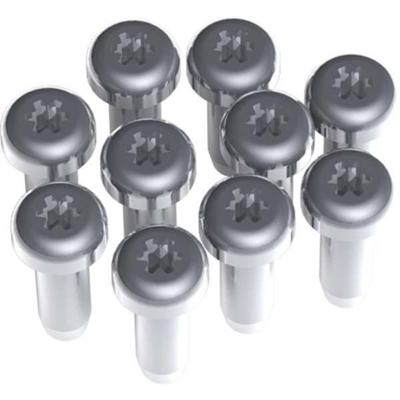 Bachmann 917.111 Zubehör Server Plaatschroeven T 10 stuk(s)