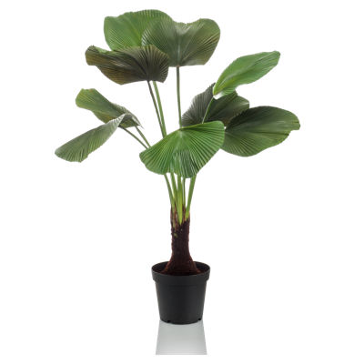 Licuala palm 130 cm kunstplant Emerald - Emerald