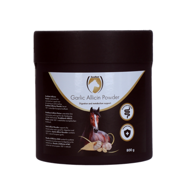 Excellent Horse Garlic Allicin Powder 800 g