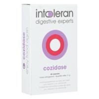 Intoleran Cozidase 60 Capsules - thumbnail