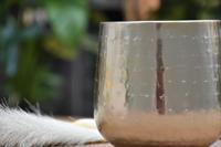 Bloempot Karakter 13x 13 cm - goud - thumbnail