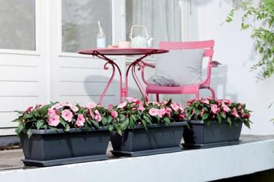 Elho Balkonbak Barcelona XL Schotel Antraciet 54cm