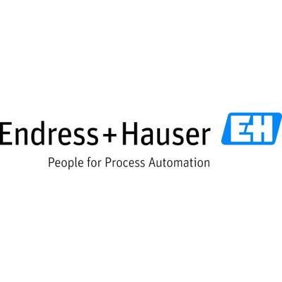 Endress+Hauser 71355718 Adapter 1 set(s)