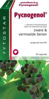 Fytostar Pycnogenol Capsules 30st - thumbnail