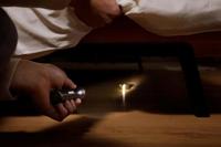 Philips Zaklamp - LED - 120 lumen - IPX4 Waterdicht - thumbnail