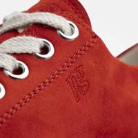 Paul Green 4790 - alle - thumbnail