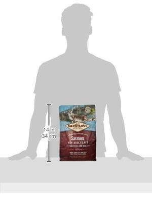 CARNILOVE Kat Gevoelig & Langhaar Zalm - droog kattenvoer - 2 kg