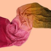 Scheepjes Whirl - 793 Goji Sorbet Dream - thumbnail