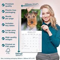 Welsh Terrier Kalender 2026 - thumbnail