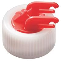 Noorse esdoorn - thumbnail