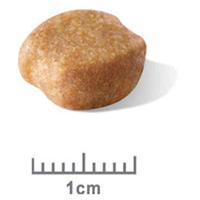 ROYAL CANIN BHN Yorkshire Terrier Adult - Voedingssupplement droog hondenvoer - 3kg - thumbnail