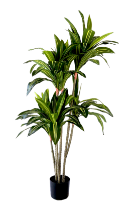 Kunstplant Dracaena fragrans 150 cm
