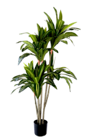 Kunstplant Dracaena fragrans 150 cm - thumbnail