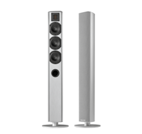 Piega: ACE 50 TX en RX Actieve Vloerstaande Speaker - 2 stuks - Zilver - thumbnail