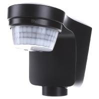 Theben 1010506 Bewegingsmelder Opbouw (op muur) 180 ° Zwart IP55