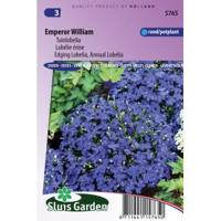 Tuinlobelia bloemzaden – Emperor William - thumbnail