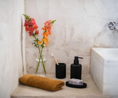 Zeepdispenser Andrea House Mat Zwart Hars (Ø 7 x 16 cm) (270 ml)