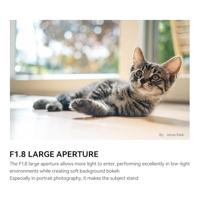 TTartisan APC-C AF35mm F/1.8 mark II Fuji X mount black - thumbnail