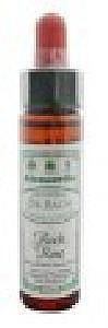 Ainsworths Rock Rose Bach 10 Milliliter Ainsworths Rock Rose Bach 10 Milliliter