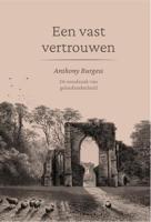 Een vast vertrouwen - Anthony Burgess - ebook - thumbnail