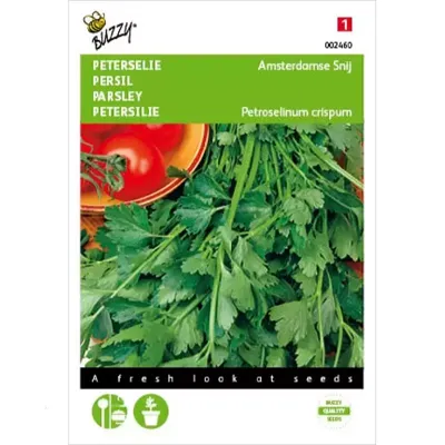 Peterselie Amsterdamse Snij