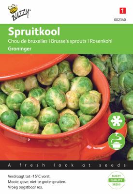 Spruitkool Groninger