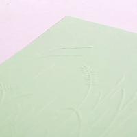 Vaessen Creative • embossing folder gras - thumbnail