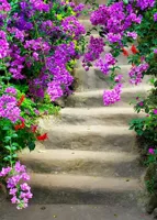 Alexsar Art Tuinschilderij bloemen trap 70x50cm - thumbnail