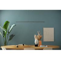 Steinhauer Hanglamp Humilus LED 1482zw zwart - thumbnail