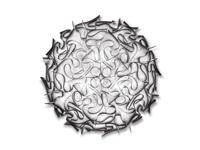 Slamp - Veli Groot Plafondlamp / Wandlamp - thumbnail