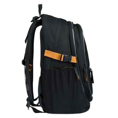 Baagl Core Rugzak Metallic Bronze 25L