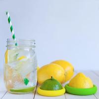 Food Huggers Foodhuggers - 2 stuks - citrus savers - thumbnail