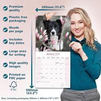 Border Collie Kalender 2026 - thumbnail