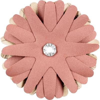 PFERD TOOLS 42732150 Schuurster Diameter 90 mm 10 stuk(s)